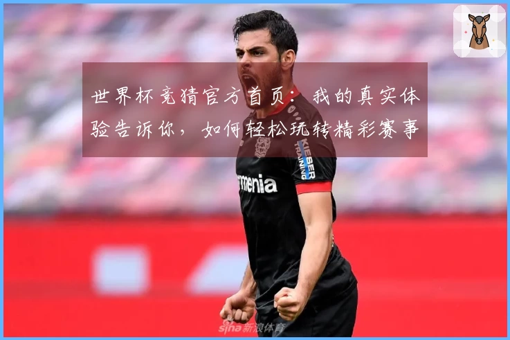 世界杯竞猜官方首页：我的真实体验告诉你，如何轻松玩转精彩赛事！