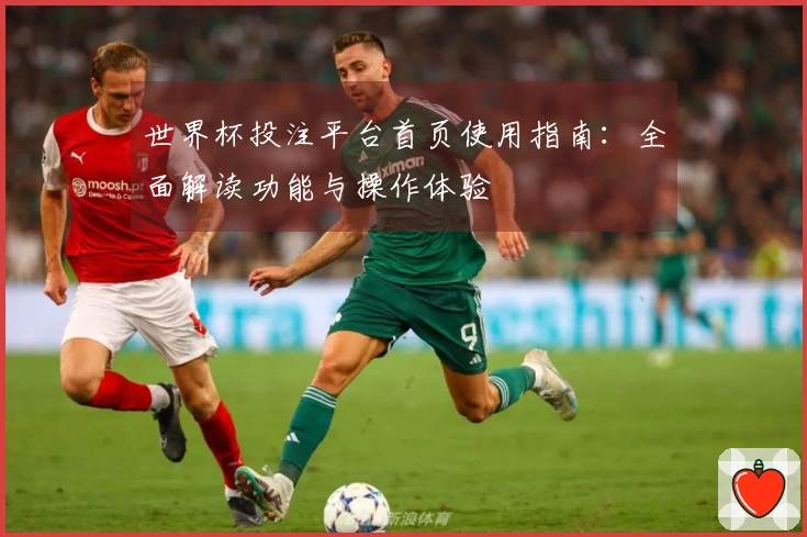 世界杯投注平台首页使用指南：全面解读功能与操作体验