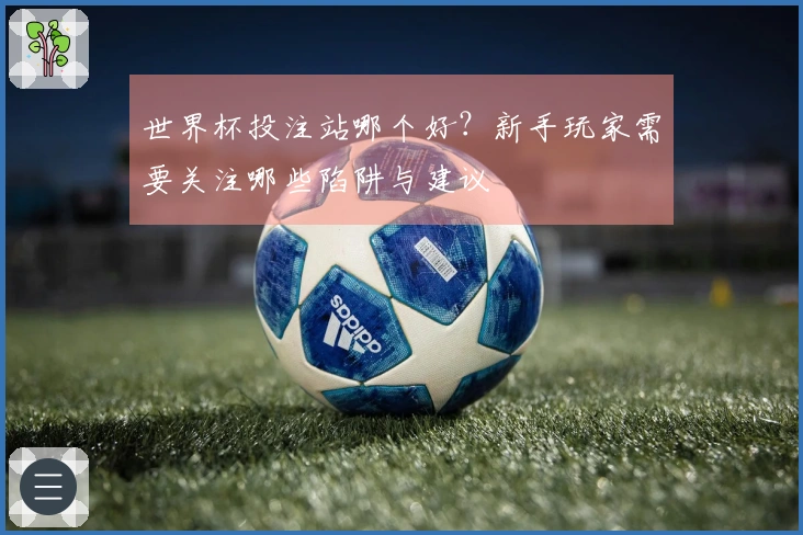 世界杯投注站哪个好？新手玩家需要关注哪些陷阱与建议