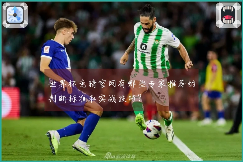 世界杯竞猜官网有哪些专家推荐的判断标准和实战技巧?