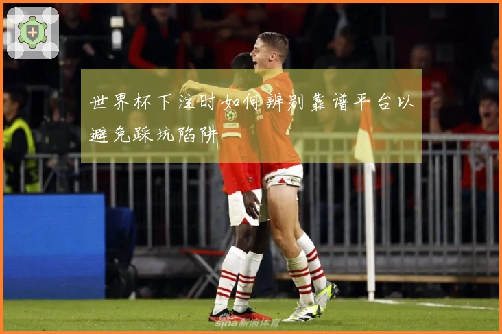 世界杯下注时如何辨别靠谱平台以避免踩坑陷阱