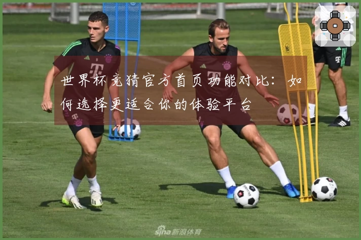 世界杯竞猜官方首页功能对比：如何选择更适合你的体验平台