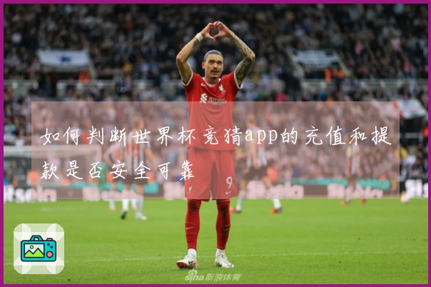 如何判断世界杯竞猜app的充值和提款是否安全可靠