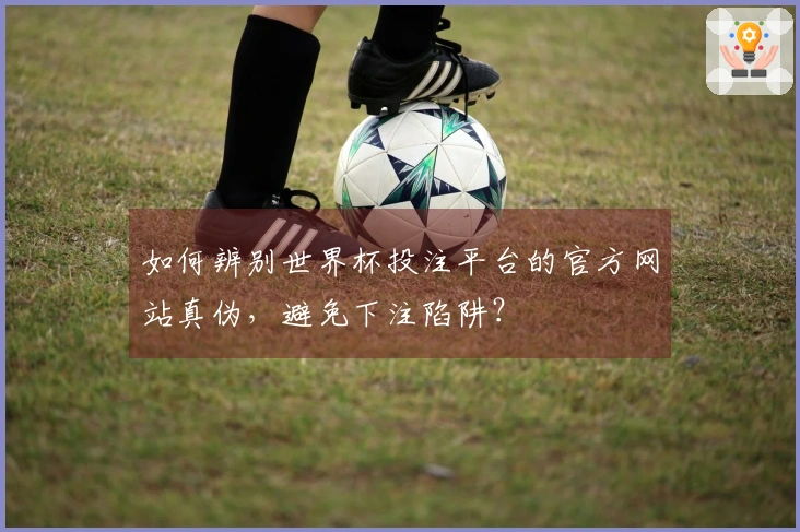 如何辨别世界杯投注平台的官方网站真伪，避免下注陷阱？