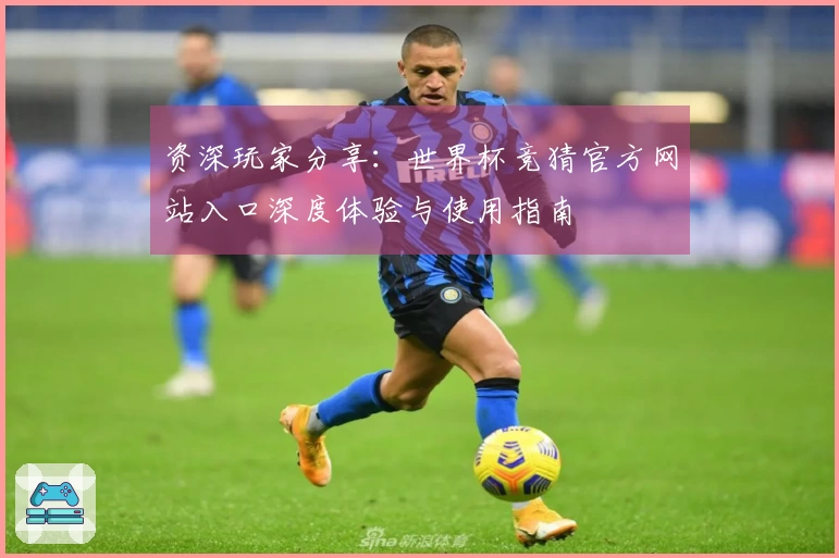 资深玩家分享：世界杯竞猜官方网站入口深度体验与使用指南