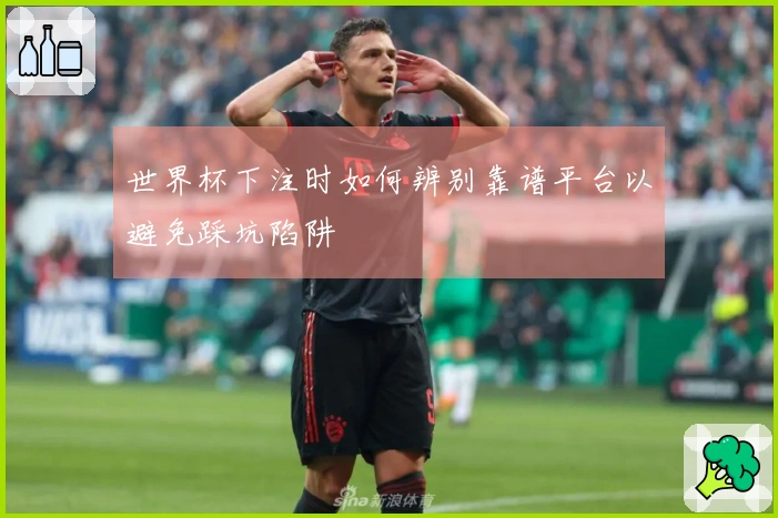 世界杯下注时如何辨别靠谱平台以避免踩坑陷阱