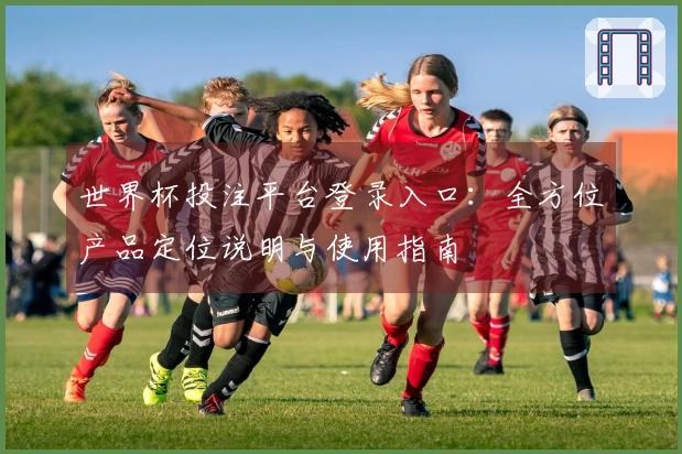 世界杯投注平台登录入口：全方位产品定位说明与使用指南