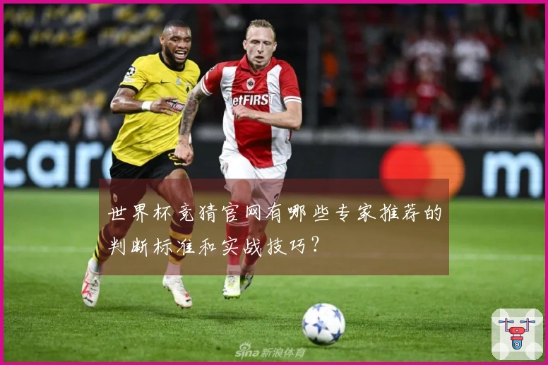 世界杯竞猜官网有哪些专家推荐的判断标准和实战技巧？