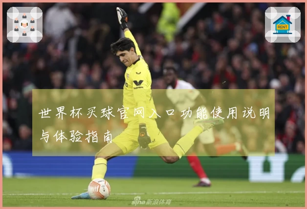 世界杯买球官网入口功能使用说明与体验指南