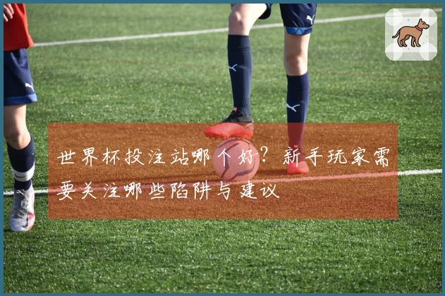 世界杯投注站哪个好?新手玩家需要关注哪些陷阱与建议